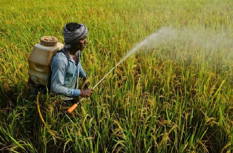 the-cross-cultural-tie-that-binds-small-scale-farming-civil-eats